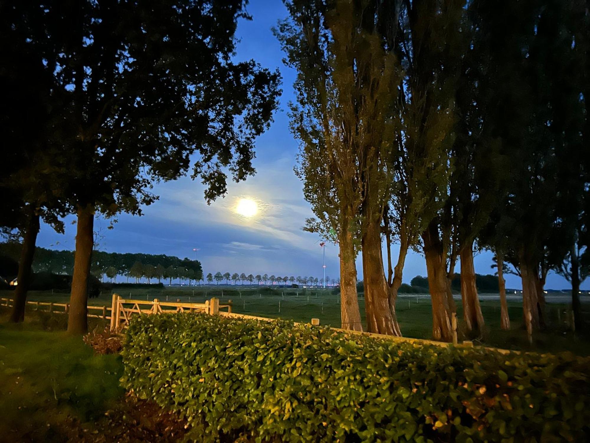 De Cordobahoeve Tweede Exloermond Екстер'єр фото