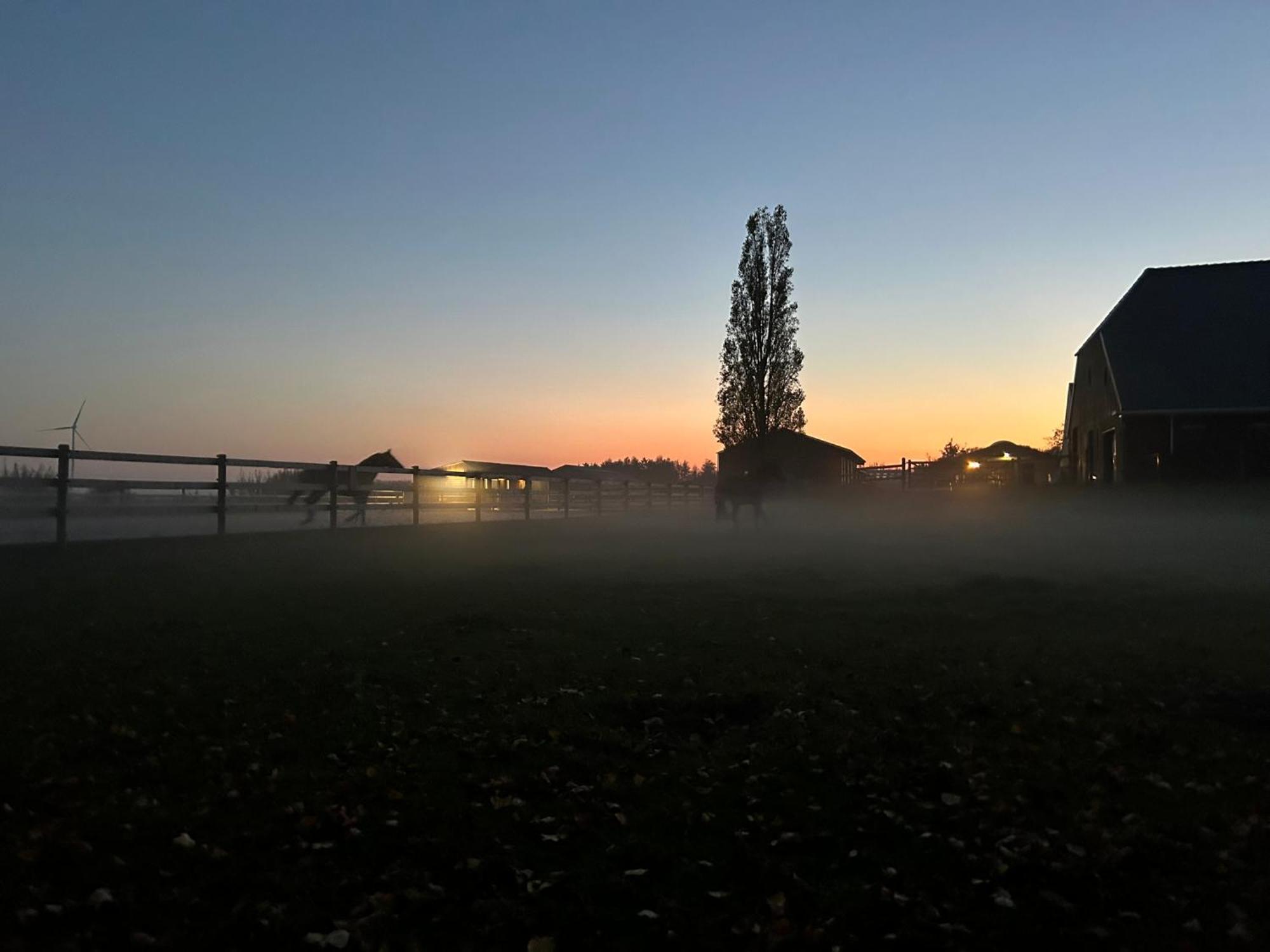 De Cordobahoeve Tweede Exloermond Екстер'єр фото