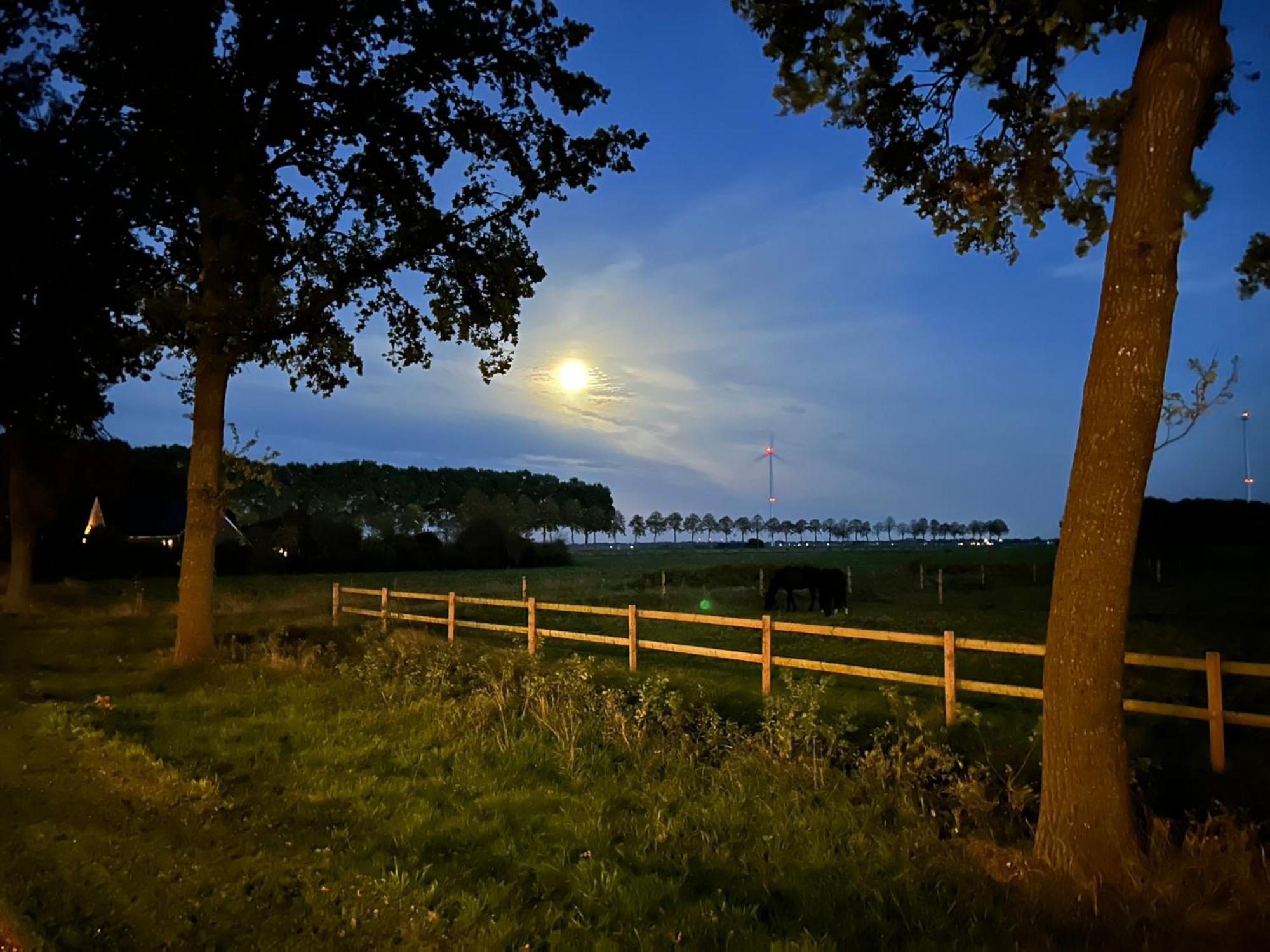 De Cordobahoeve Tweede Exloermond Екстер'єр фото
